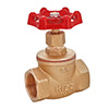 شیر سوزنی ( Globe Valve )