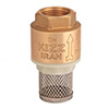 شیر سوپاپی ( Inline Check Foot Valve )