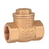 شیر یکطرفه دریچه ای ( Swing Check Valve )